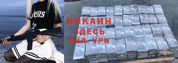ешки Бронницы
