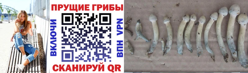 Галлюциногенные грибы мухоморы  Купить  Краснослободск 